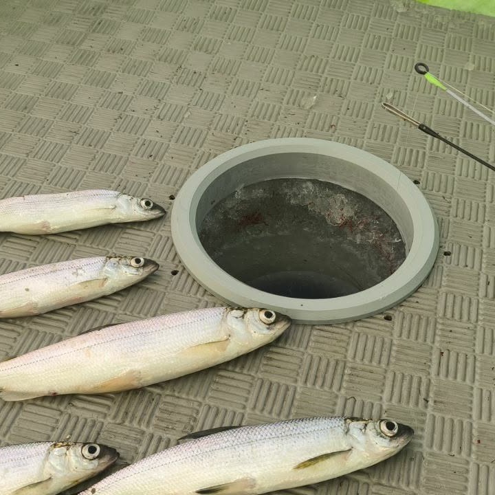 Apvadas palapinės grindims D195 H20